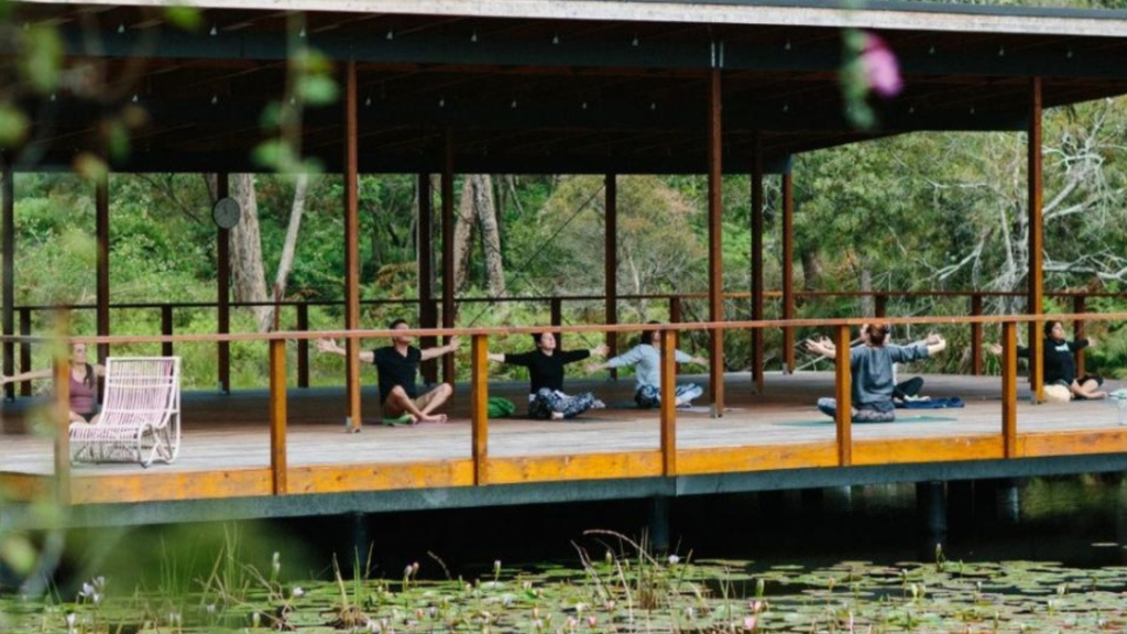 Wellness Day Retreat