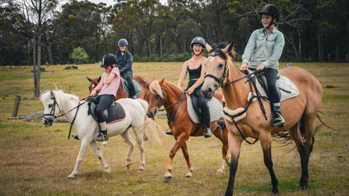 Bush Trek Horse Riding Experience