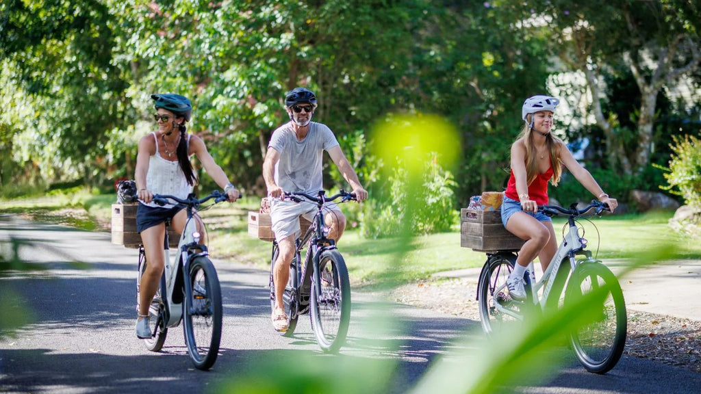 Luxury E-Bike & Picnic Experience for 2