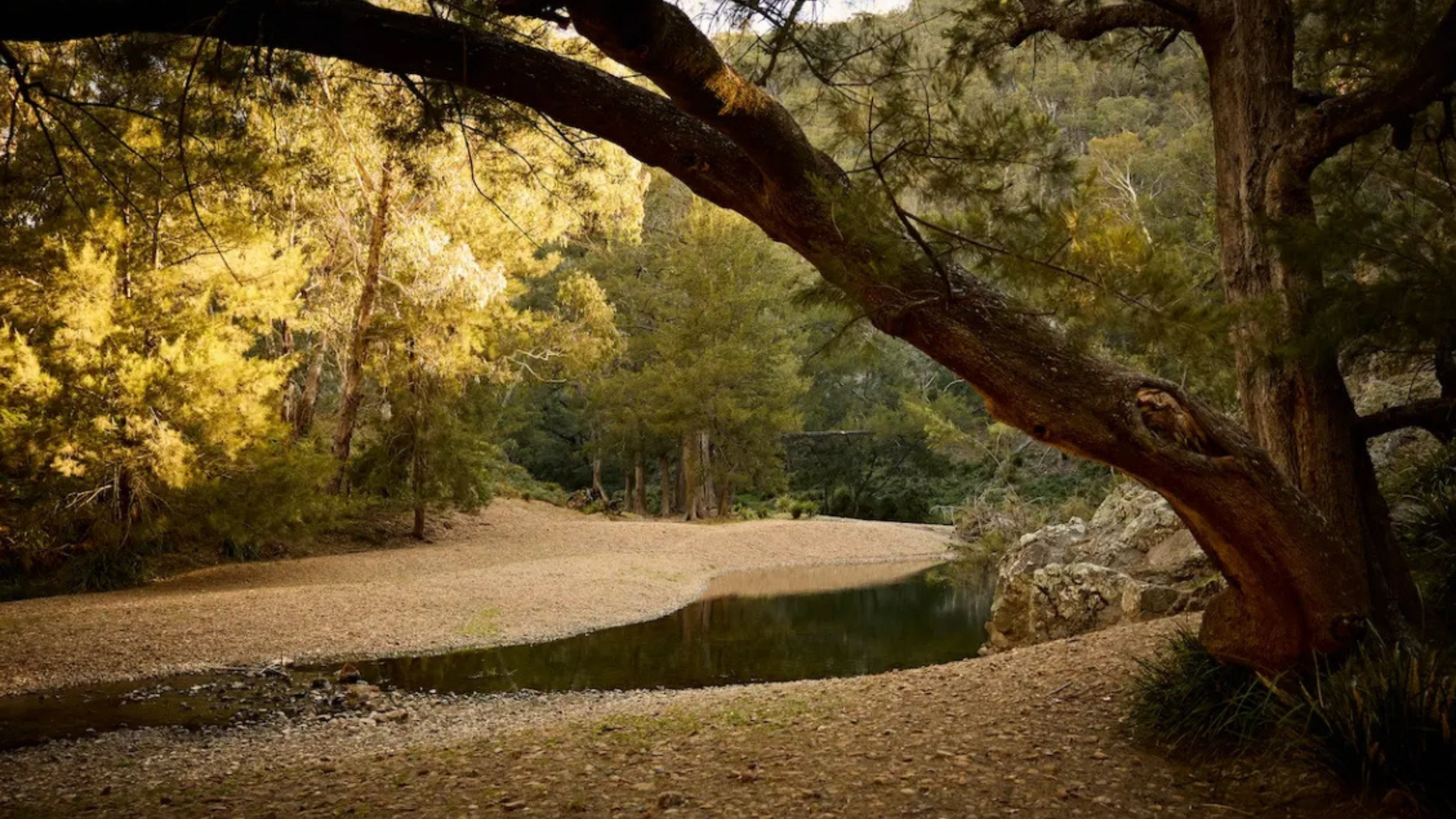 Horse Riding & Riverside Glamping Escape for 2
