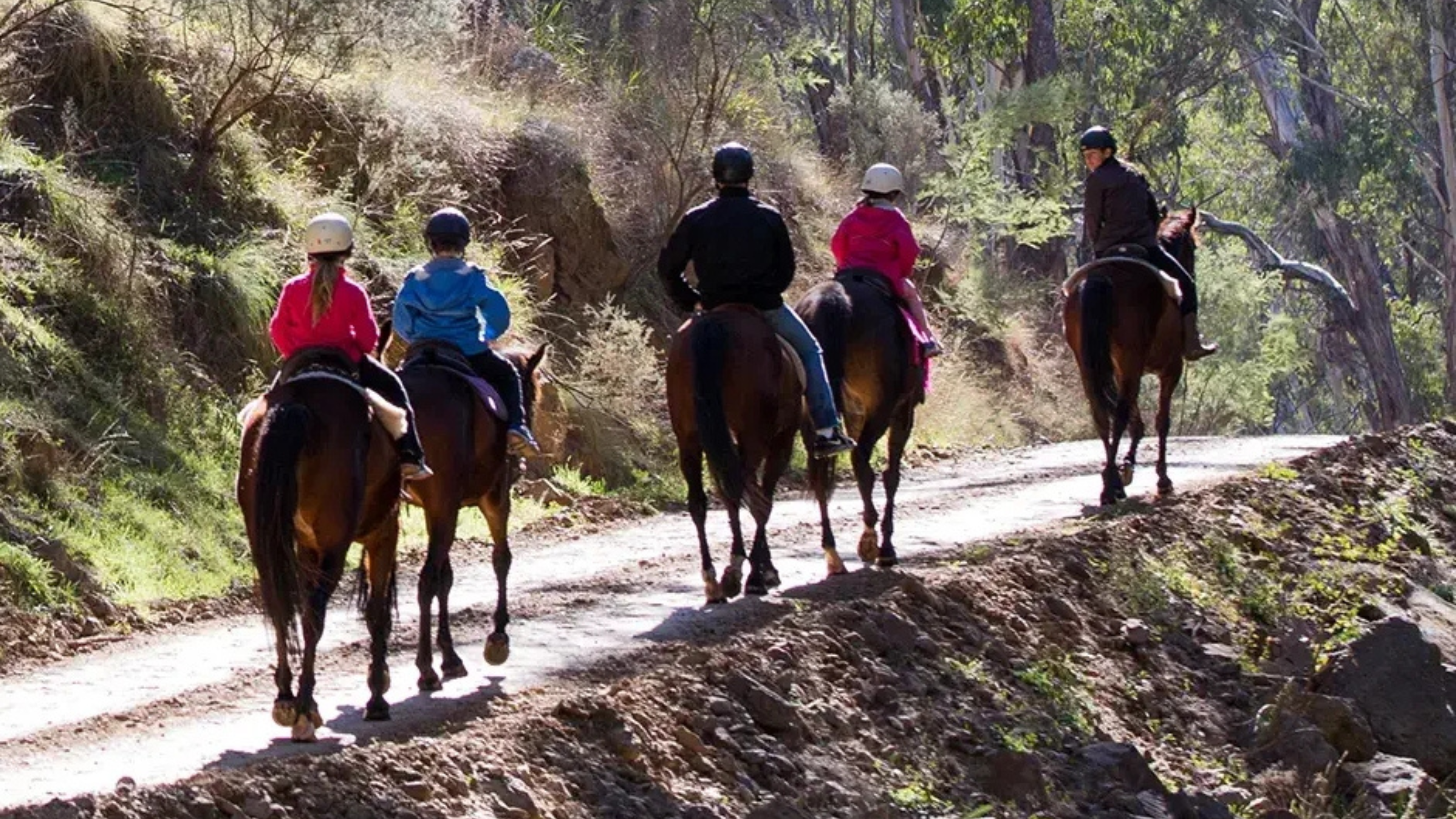 Horse Riding & Riverside Glamping Escape for 2